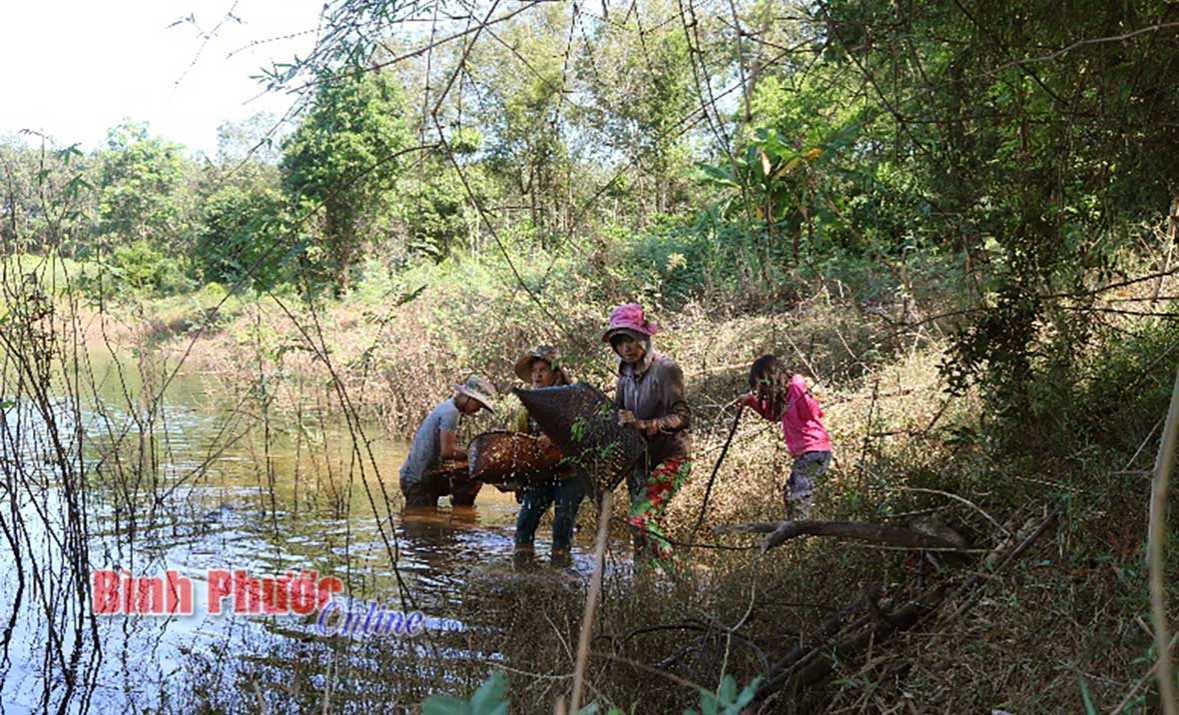 Một ngày đi xúc tôm, cá cùng đồng bào S’tiêng Một ngày đi xúc tôm, cá cùng đồng bào S’tiêng