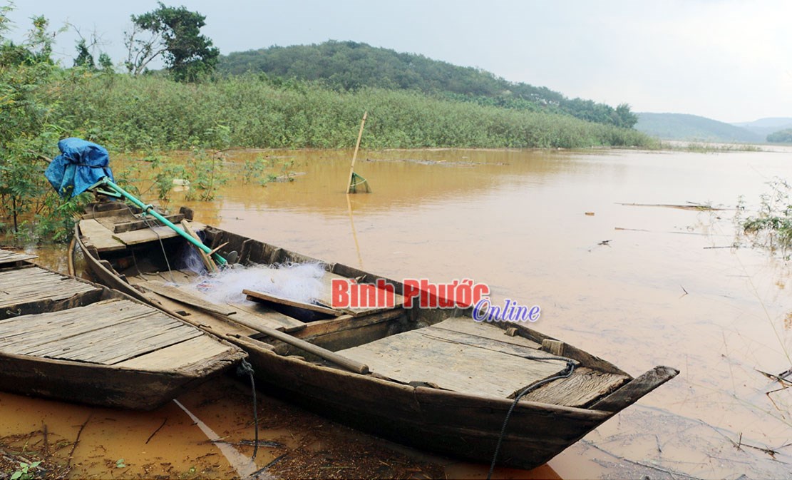 Chèo thuyền ra hồ Thác Mơ chơi, 3 học sinh lớp 9 đuối nước Chèo thuyền ra hồ Thác Mơ chơi, 3 học sinh lớp 9 đuối nước