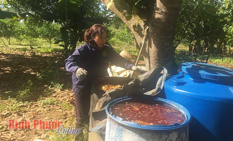 Tự ủ phân bón hướng đến sản xuất nông nghiệp sạch Tự ủ phân bón hướng đến sản xuất nông nghiệp sạch