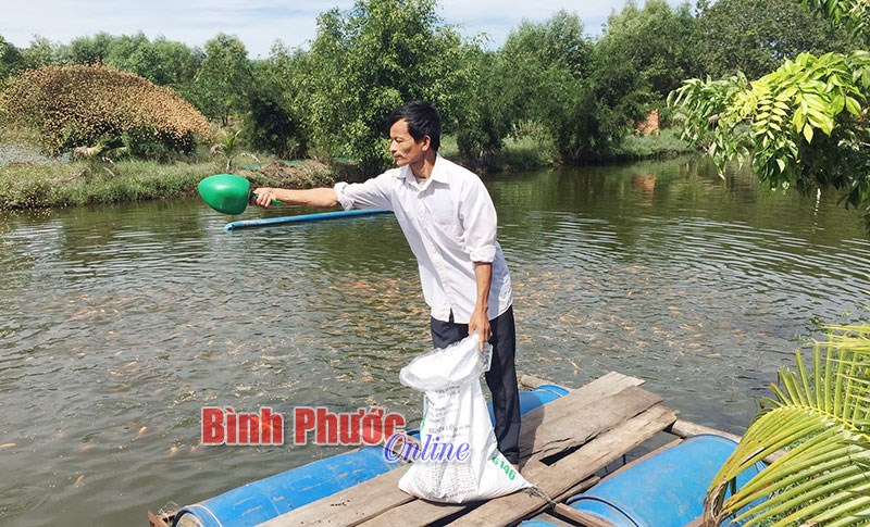 Điểm tựa của nhà nông Điểm tựa của nhà nông