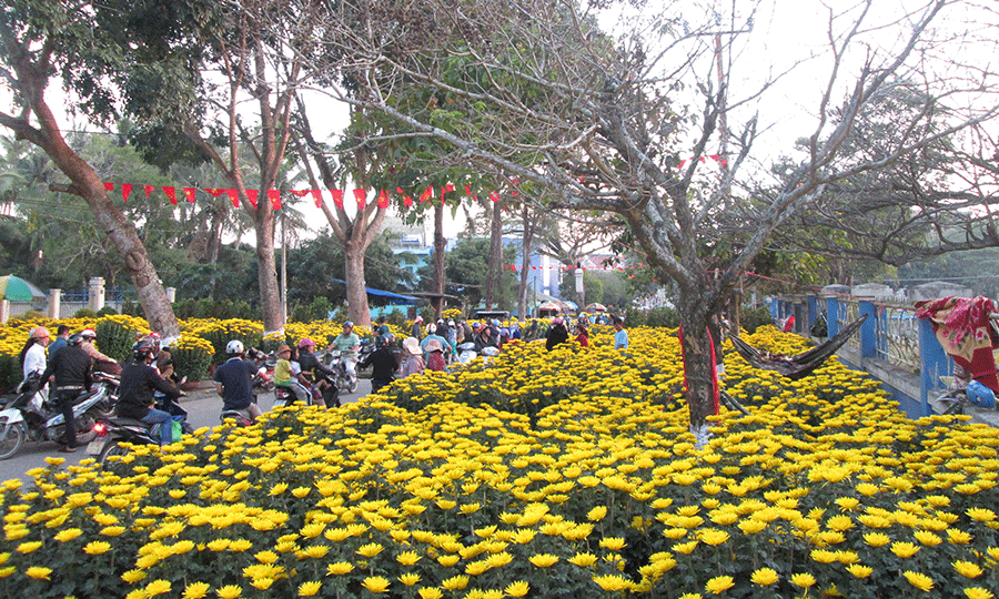 images1041038_1thuong_15522131122022.gif