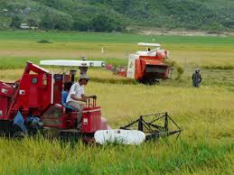 Hỗ trợ vay vốn giảm tổn thất trong nông nghiệp