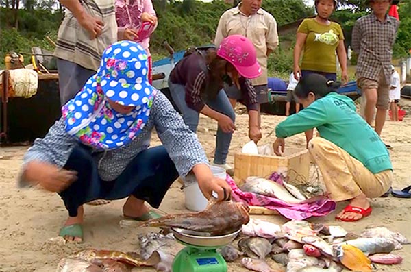 Đoàn công tác Trung ương trực tiếp đi tìm nguyên nhân cá chết bất thường