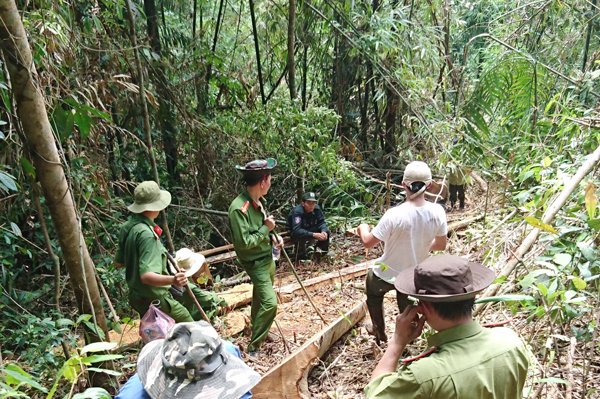 images649075_hientruong.jpg