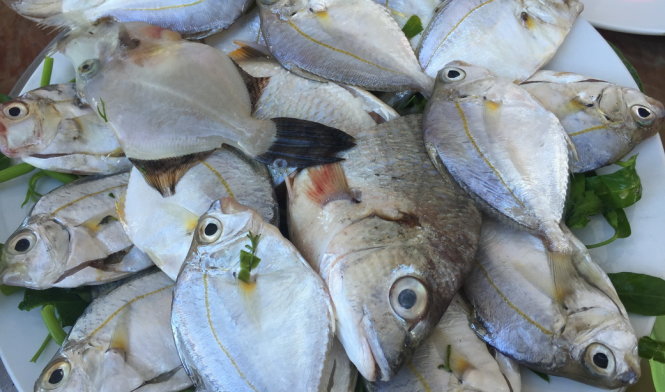 img-1634-1471945407.jpg