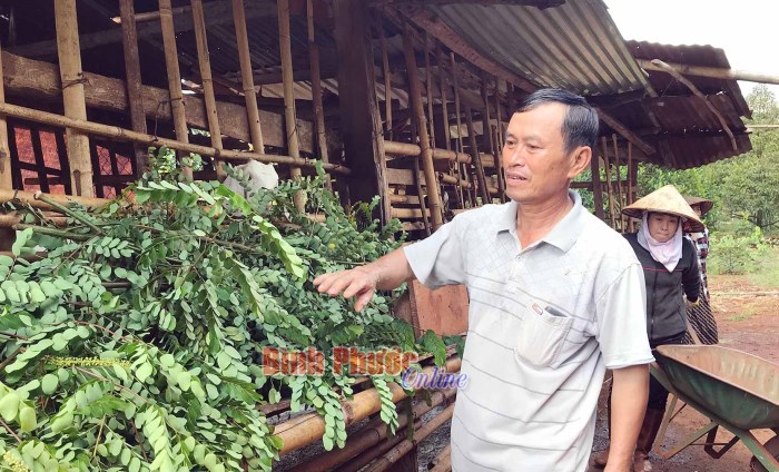 Đổi mới nông thôn Đổi mới nông thôn
