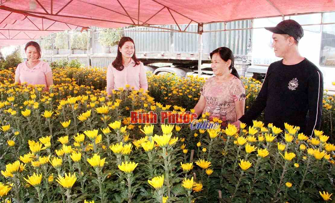 Phước Long rực rỡ sắc xuân