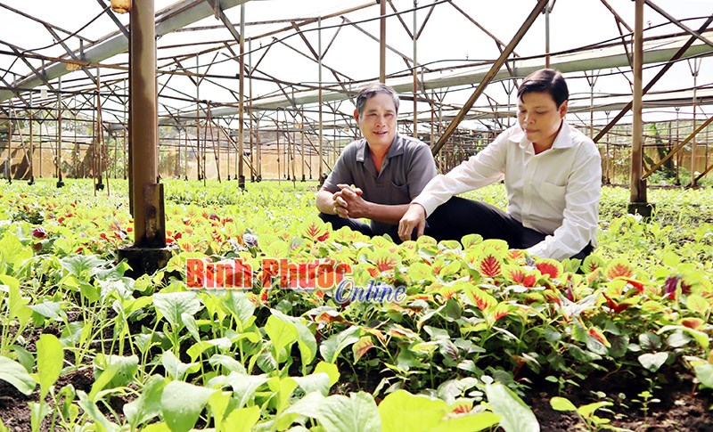 Trăn trở với nông sản sạch Trăn trở với nông sản sạch