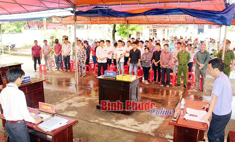 Cái giá của việc đánh bạc, tổ chức đánh bạc Cái giá của việc đánh bạc, tổ chức đánh bạc
