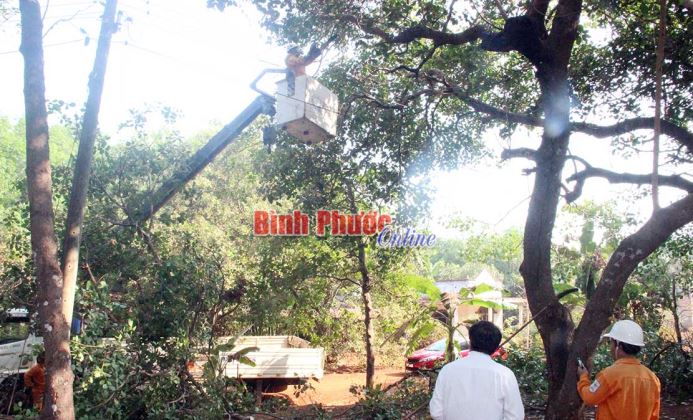 Bảo đảm an toàn của khách hàng và lưới điện Bảo đảm an toàn của khách hàng và lưới điện