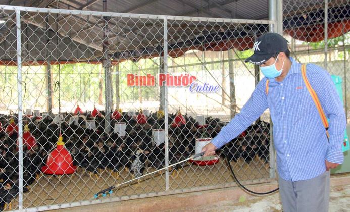 Chủ động phòng, chống dịch bệnh trên đàn gia cầm Chủ động phòng, chống dịch bệnh trên đàn gia cầm