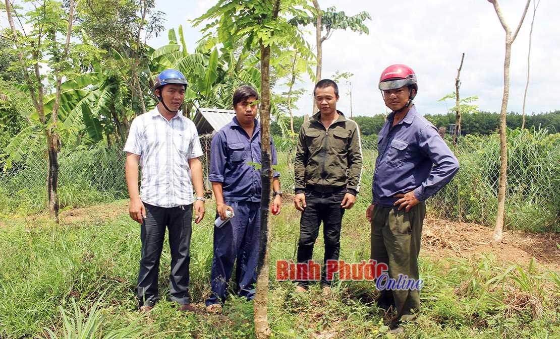 Bắt nhóm đối tượng trộm cây xanh Bắt nhóm đối tượng trộm cây xanh