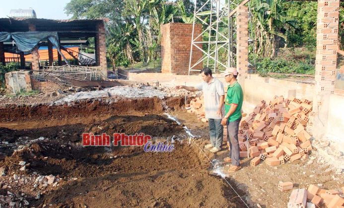 Thận trọng tái đàn heo Thận trọng tái đàn heo