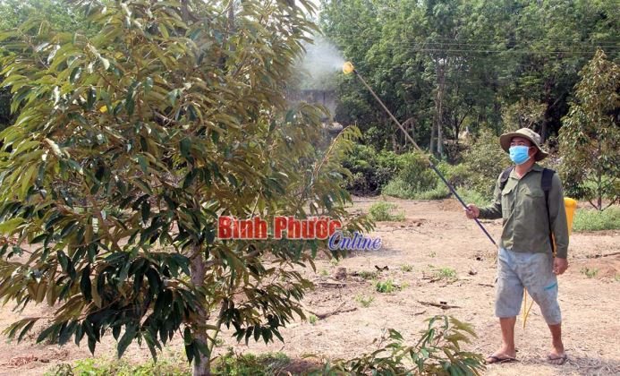 Chuyển đổi cây trồng gắn với ứng dụng kỹ thuật Chuyển đổi cây trồng gắn với ứng dụng kỹ thuật