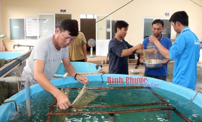 Khai thác mặt nước nuôi trồng thủy sản