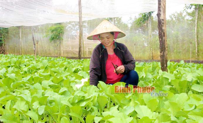 Xã biên giới chủ động xây dựng nông thôn mới