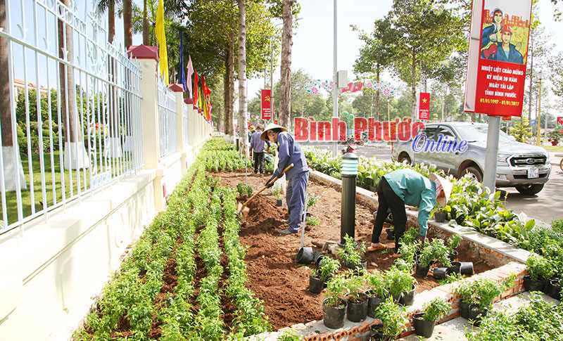 Đồng Xoài chuyển giao việc chăm sóc cây xanh đô thị