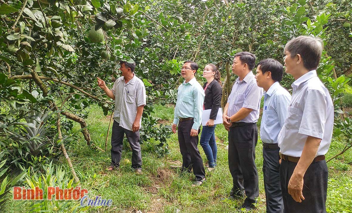 Chủ động ứng dụng khoa học và công nghệ để phát triển