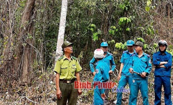 Đồng Phú chủ động phòng, chống cháy rừng Đồng Phú chủ động phòng, chống cháy rừng