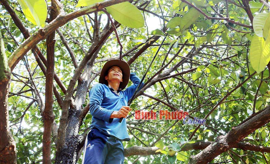 Thợ làm vườn