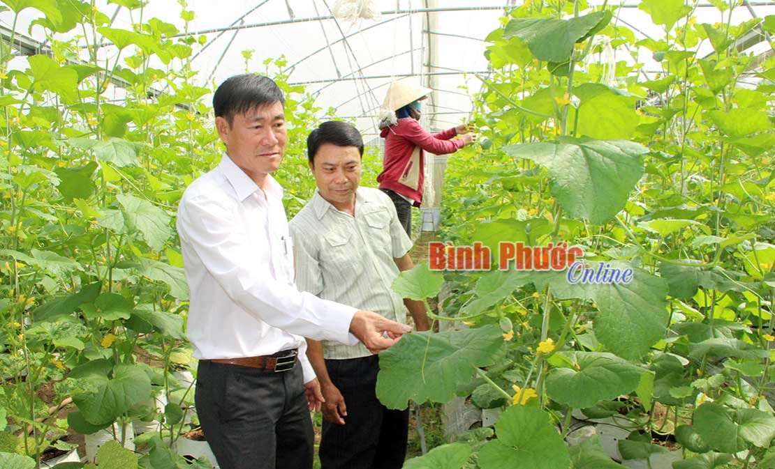 Tìm hướng phát triển cho hợp tác xã - Bài 1 Tìm hướng phát triển cho hợp tác xã - Bài 1