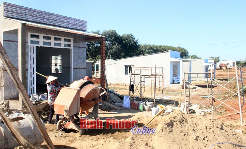 Xuân sớm trên khu tái định cư 119 Xuân sớm trên khu tái định cư 119