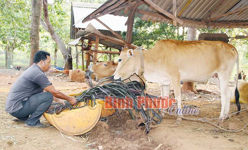 Khởi sắc ở ấp 7