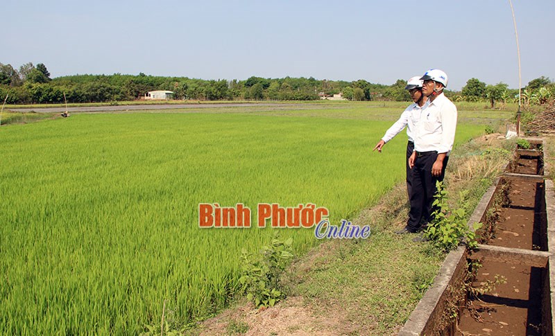 Làm gì để công trình thủy lợi sau Cần Đơn phát huy hiệu quả? Làm gì để công trình thủy lợi sau Cần Đơn phát huy hiệu quả?