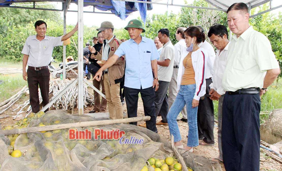 Tìm hướng phát triển cho hợp tác xã - Bài cuối