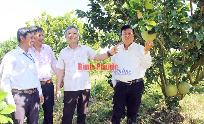 Rủ nhau làm nông nghiệp xanh Rủ nhau làm nông nghiệp xanh