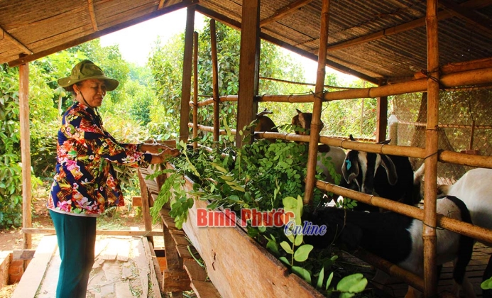 Phụ nữ giúp nhau cùng phát triển