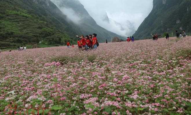 Cảnh đẹp say lòng người của Hà Giang Cảnh đẹp say lòng người của Hà Giang