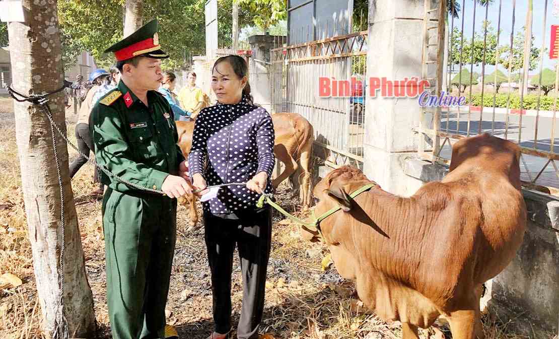 Thêm 25 con bò giống trao tặng hộ nghèo huyện Bù Đốp Thêm 25 con bò giống trao tặng hộ nghèo huyện Bù Đốp