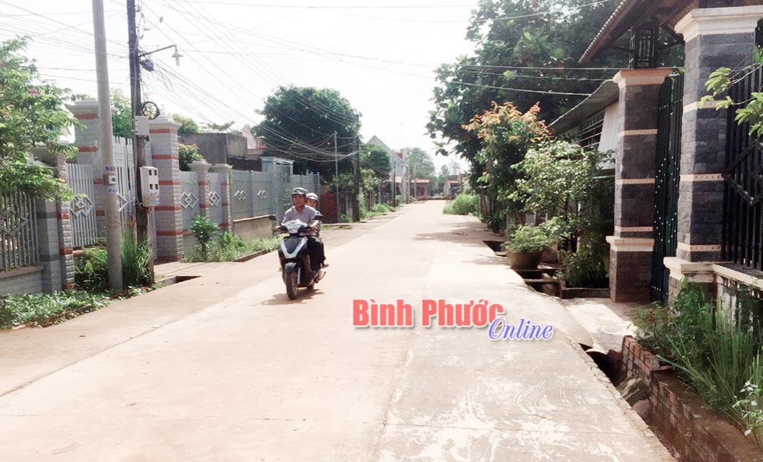 Tân Tiến nỗ lực nâng chất nông thôn mới Tân Tiến nỗ lực nâng chất nông thôn mới