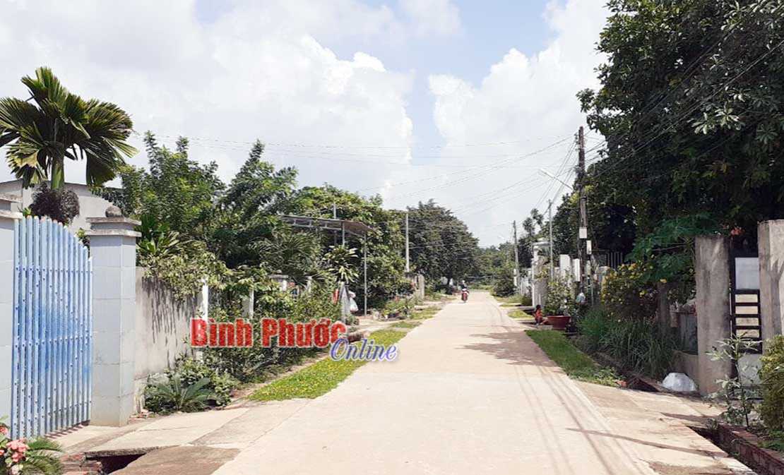 Thái Dũng xây dựng khu dân cư nông thôn kiểu mẫu Thái Dũng xây dựng khu dân cư nông thôn kiểu mẫu
