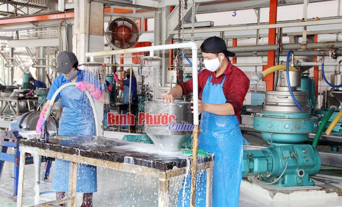 Cao su Lộc Ninh: Vượt khó để giữ vững thương hiệu Cao su Lộc Ninh: Vượt khó để giữ vững thương hiệu