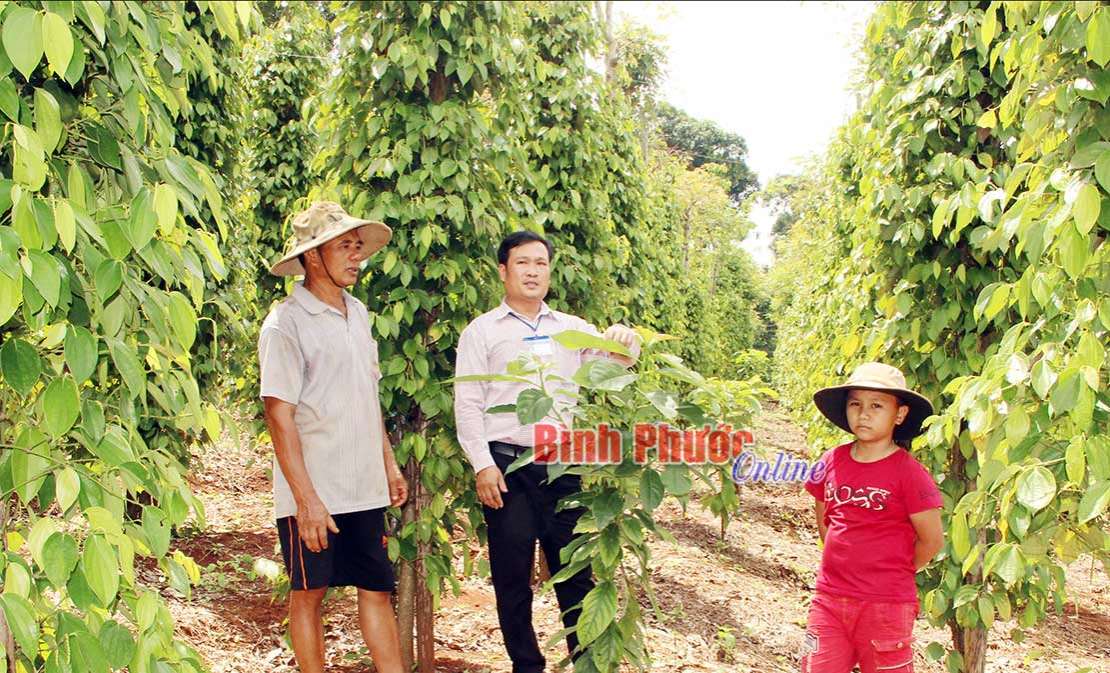 Cần chính sách, quy hoạch để bảo vệ tài nguyên đất