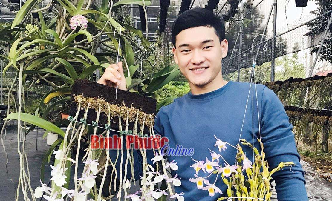 Phát triển kinh tế từ đam mê lan rừng