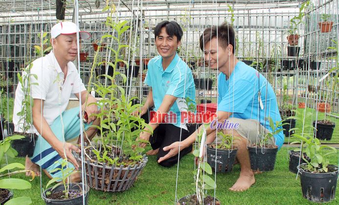 Bảo tồn hương sắc lan rừng