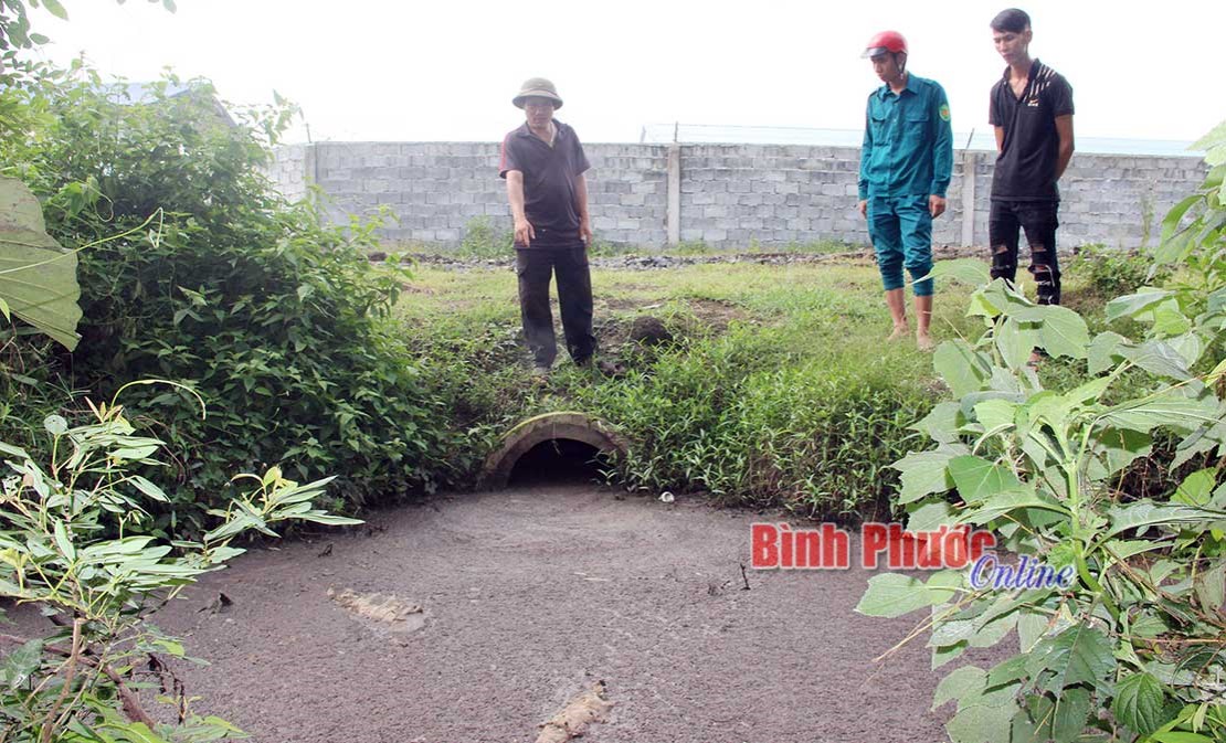 Công ty TNHH chăn nuôi heo Vạn Phúc Đạt có gây ô nhiễm môi trường? Công ty TNHH chăn nuôi heo Vạn Phúc Đạt có gây ô nhiễm môi trường?