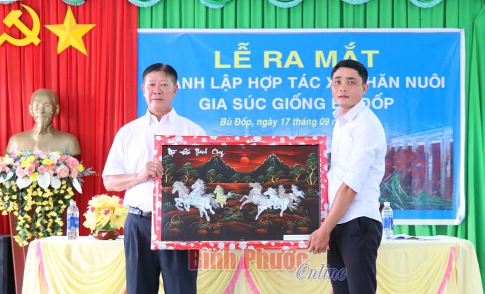 Ra mắt HTX chăn nuôi gia súc giống Bù Đốp