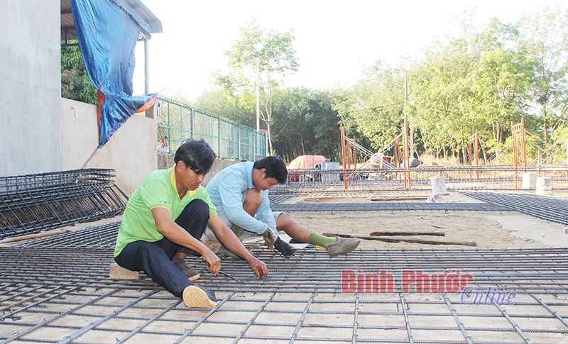 Nghề xây nhà yến