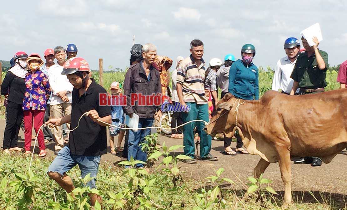 Hơn 19 tỷ đồng hỗ trợ đồng bào DTTS phát triển kinh tế Hơn 19 tỷ đồng hỗ trợ đồng bào DTTS phát triển kinh tế
