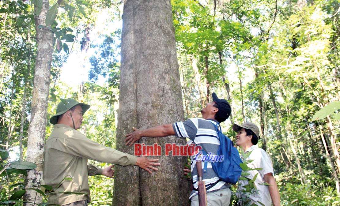 Cho hôm nay và muôn đời sau Cho hôm nay và muôn đời sau