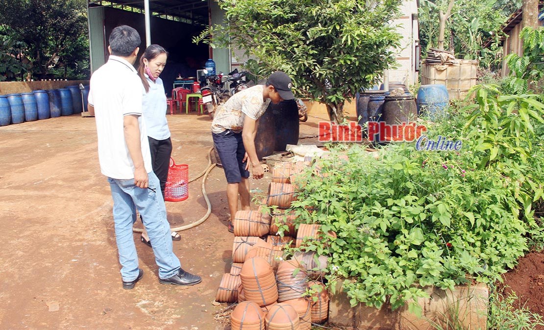 Ngành y tế “căng mình” phòng, chống dịch sốt xuất huyết