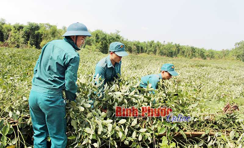 Lộc Ninh: Lốc xoáy gây thiệt hại hàng tỷ đồng