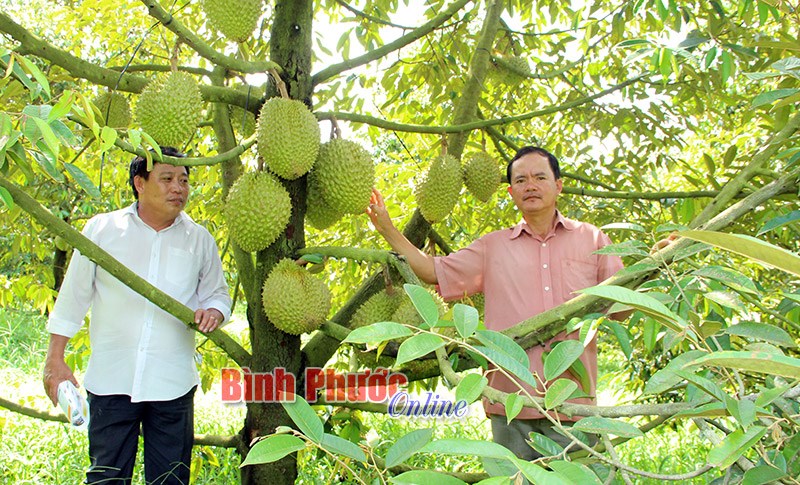 Kinh tế nông nghiệp nhìn từ chuỗi liên kết - Bài cuối Kinh tế nông nghiệp nhìn từ chuỗi liên kết - Bài cuối