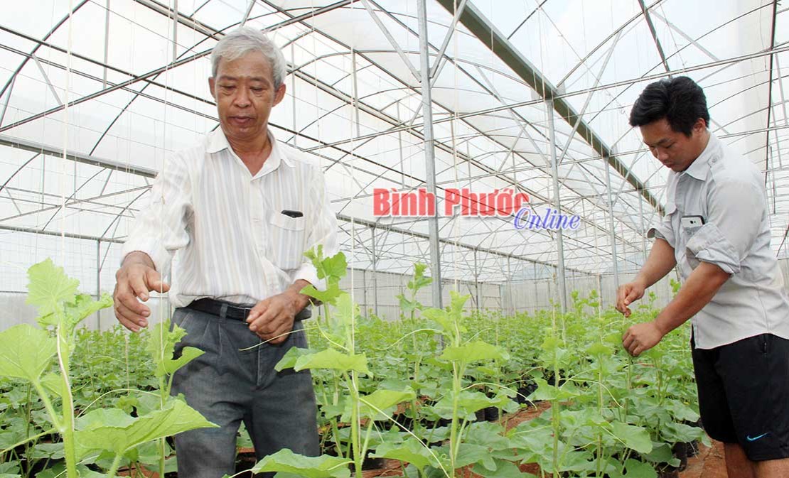 Tìm chỗ đứng cho rau VietGAP