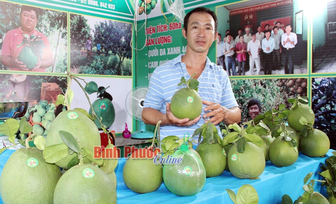 Xây dựng thương hiệu trái cây Bình Phước - Bài 1
