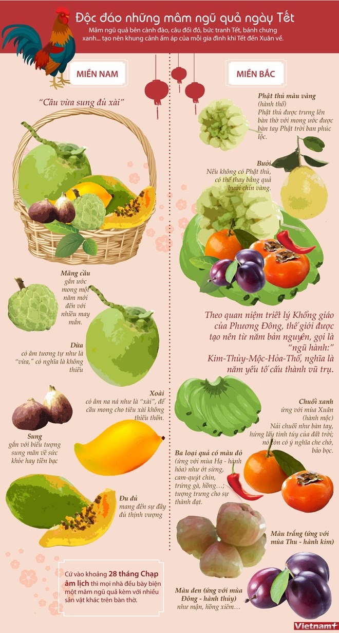 infographicsmamnguqua27012017013932.jpg
